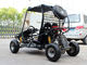 Disc Drive Brake 125cc Go Kart Buggy With Automatic Transmission ( 3+N+R ) Or D+N+R