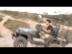 300 سی سی 2 چرخ محرک کارتینگ