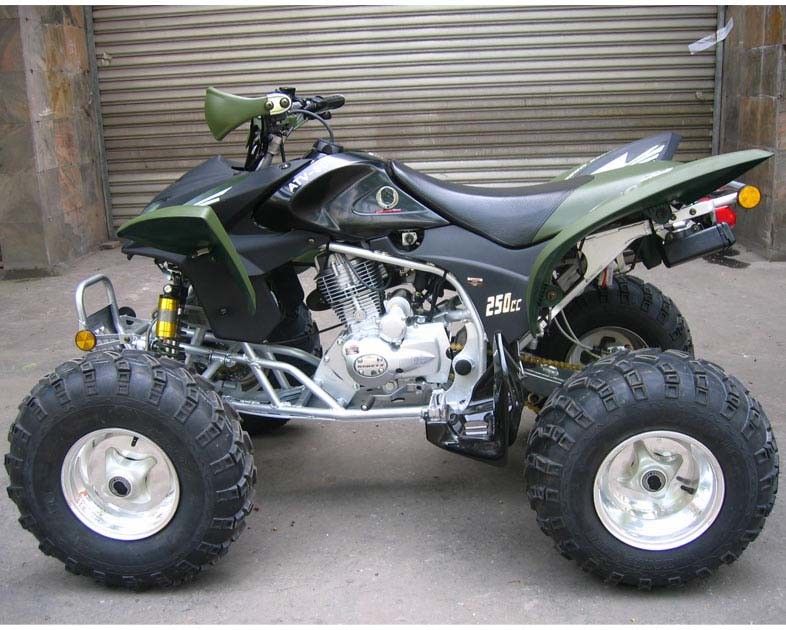 کلاچ دستی کلاچ کلاچ CDI کلاچ فوق العاده بزرگ جوانان کلاسیک ATV 250cc ATV Quad دوچرخه