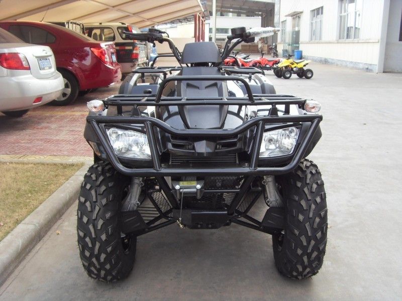 300CC وسیله نقلیه ATV 40.3mile / H با 2 صندلی، دو بازوی A / A-Arm