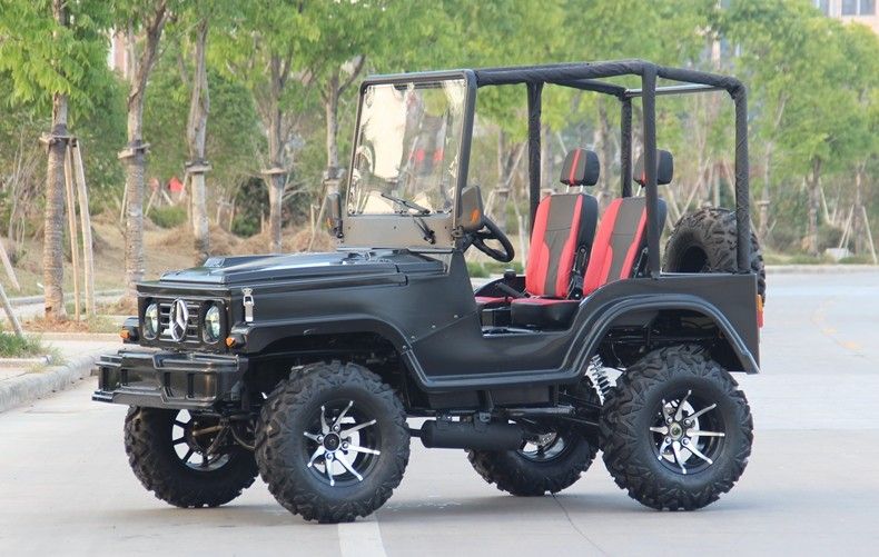 مینی جیپ 4WD مسابقه ATV ورزش رفتن کارت وحشی برای بزرگسالان، 300cc برو کارت