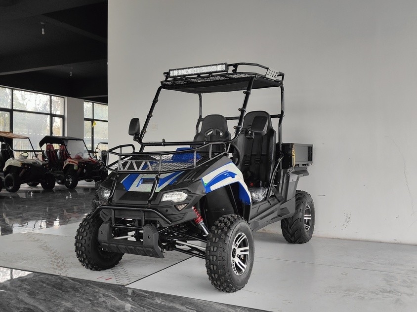 وسایل نقلیه گاز 200EUX (EFI) Utv CTV اتوماتیک با عقب 32 درجه پایین می آید