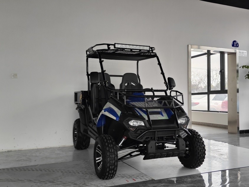 وسایل نقلیه گاز 200EUX (EFI) Utv CTV اتوماتیک با عقب 32 درجه پایین می آید