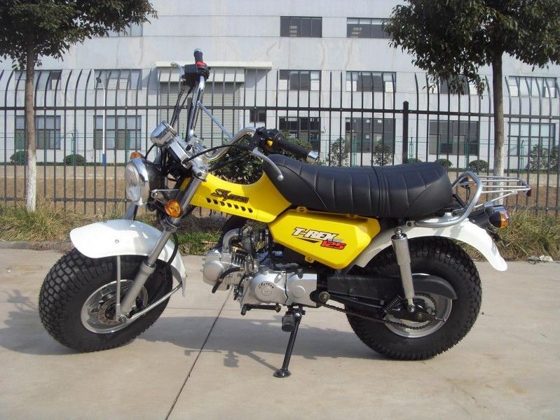 Skyteam T - Rex 125 125cc دوچرخه مجهز، 2 نفر موتورسیکلت با سرعت 4 دنده