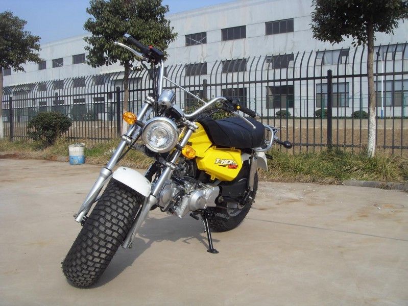 Skyteam T - Rex 125 125cc دوچرخه مجهز، 2 نفر موتورسیکلت با سرعت 4 دنده