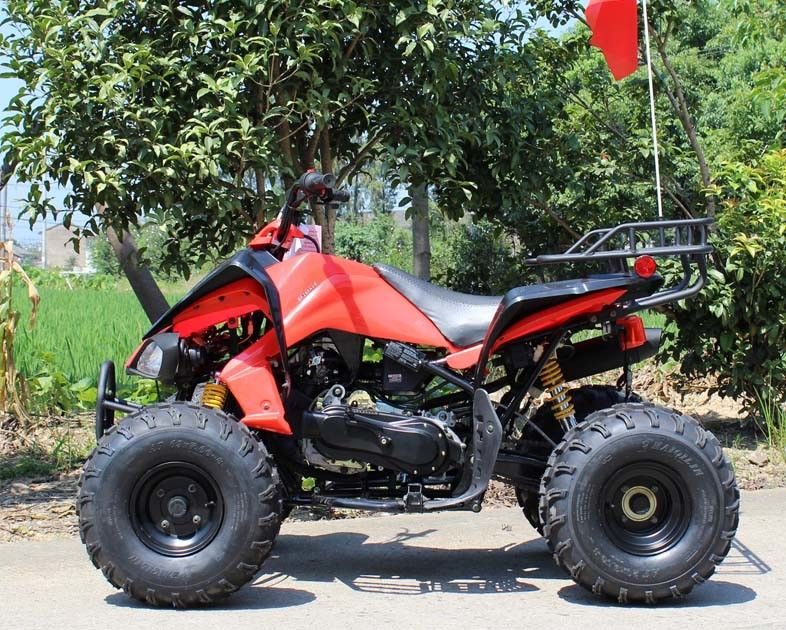 13.9HP یخچال آب یخچال ATV 200cc 4 Wheeler با ترمز دیسکی عقب