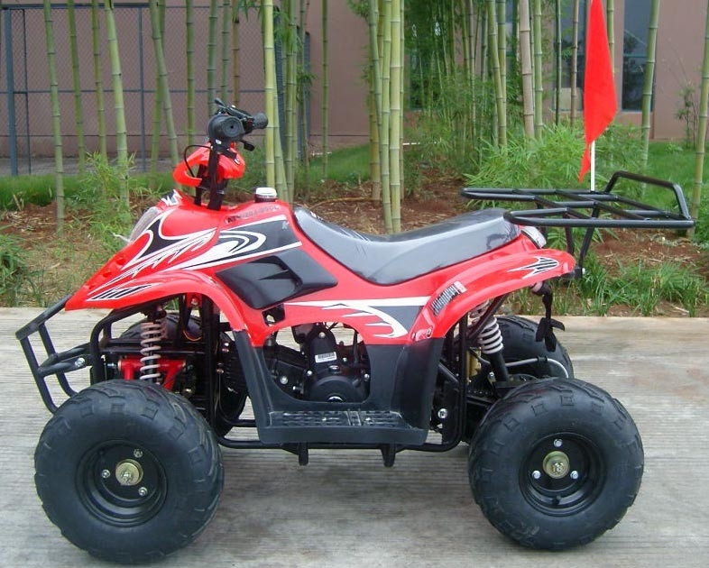 Front Double Swing Arm 70cc ATV Quad Bike 80KG Max Loading Performance High
