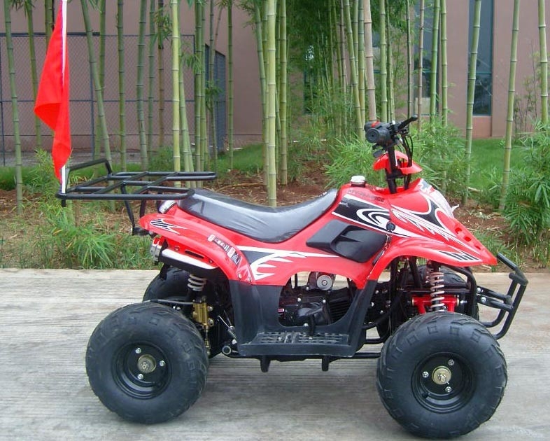 Front Double Swing Arm 70cc ATV Quad Bike 80KG Max Loading Performance High