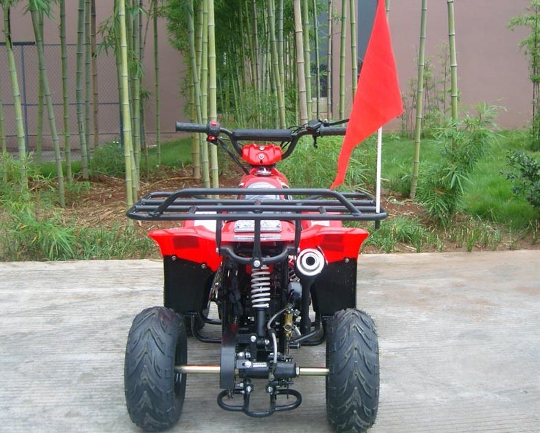 Front Double Swing Arm 70cc ATV Quad Bike 80KG Max Loading Performance High
