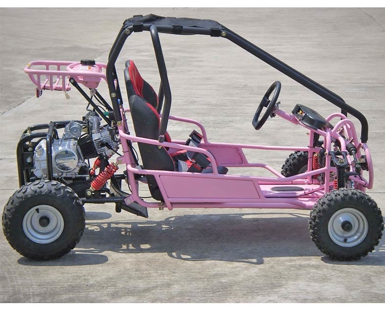 عملیات ترمز پا Go Kart Buggy 4 Stroke CTV Electric شروع اتوماتیک با معکوس کنید