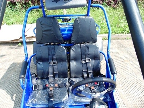 2.25 Gal 17.4 HP CDI Ignition 300cc CVT EFI Go Kart Buggy