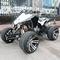 8" Rim 250cc Electric Start Youth Racing ATV Water Cooled Atv With Front Double A - Arm
